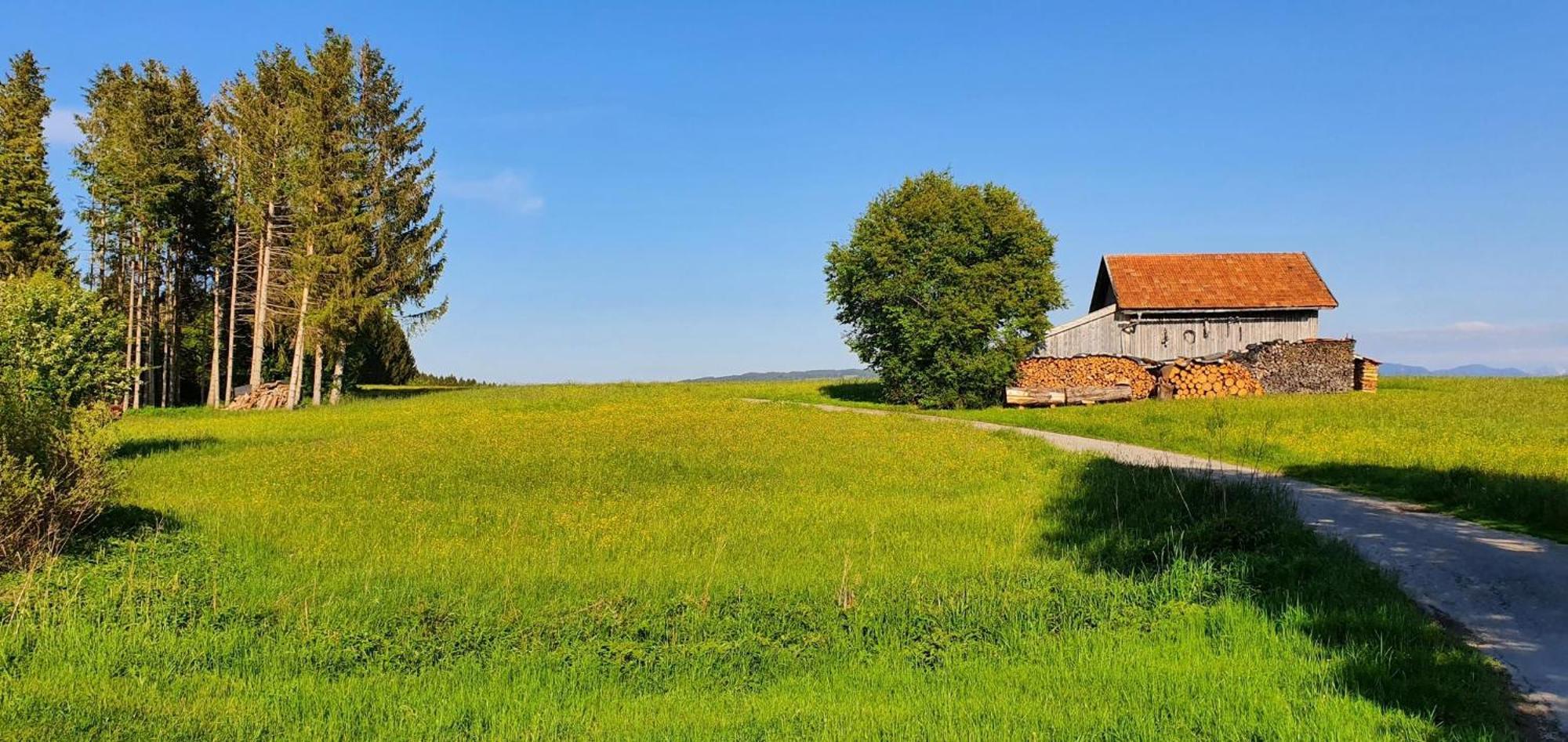 Lechbruck Am See Feriendorf Hochbergle Haus 140 المظهر الخارجي الصورة